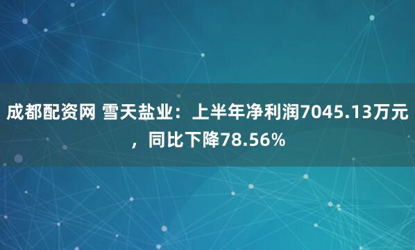 成都配资网 雪天盐业：上半年净利润7045.13万元，同比下降78.56%