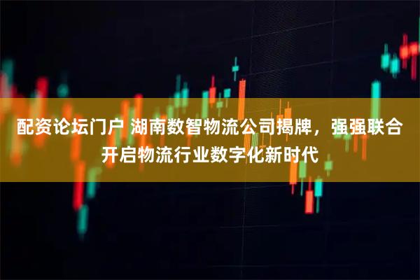 配资论坛门户 湖南数智物流公司揭牌，强强联合开启物流行业数字化新时代