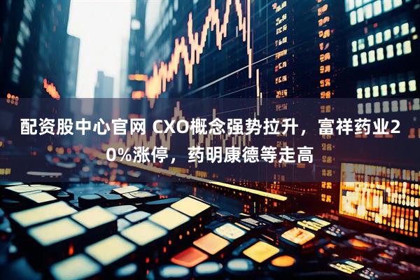 配资股中心官网 CXO概念强势拉升，富祥药业20%涨停，药明康德等走高